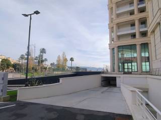 Zona
