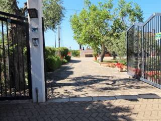 Ingresso