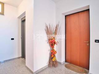 Ingresso