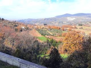 Vista