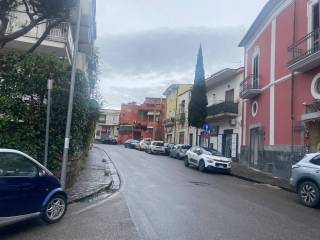 Zona