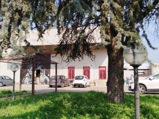Zona