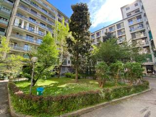 Bilocale viale Teodorico 19, Sempione, Milano
