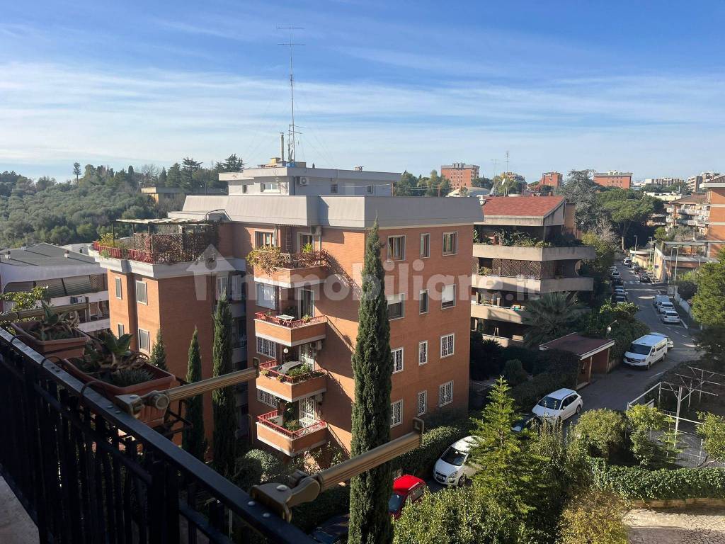Vista