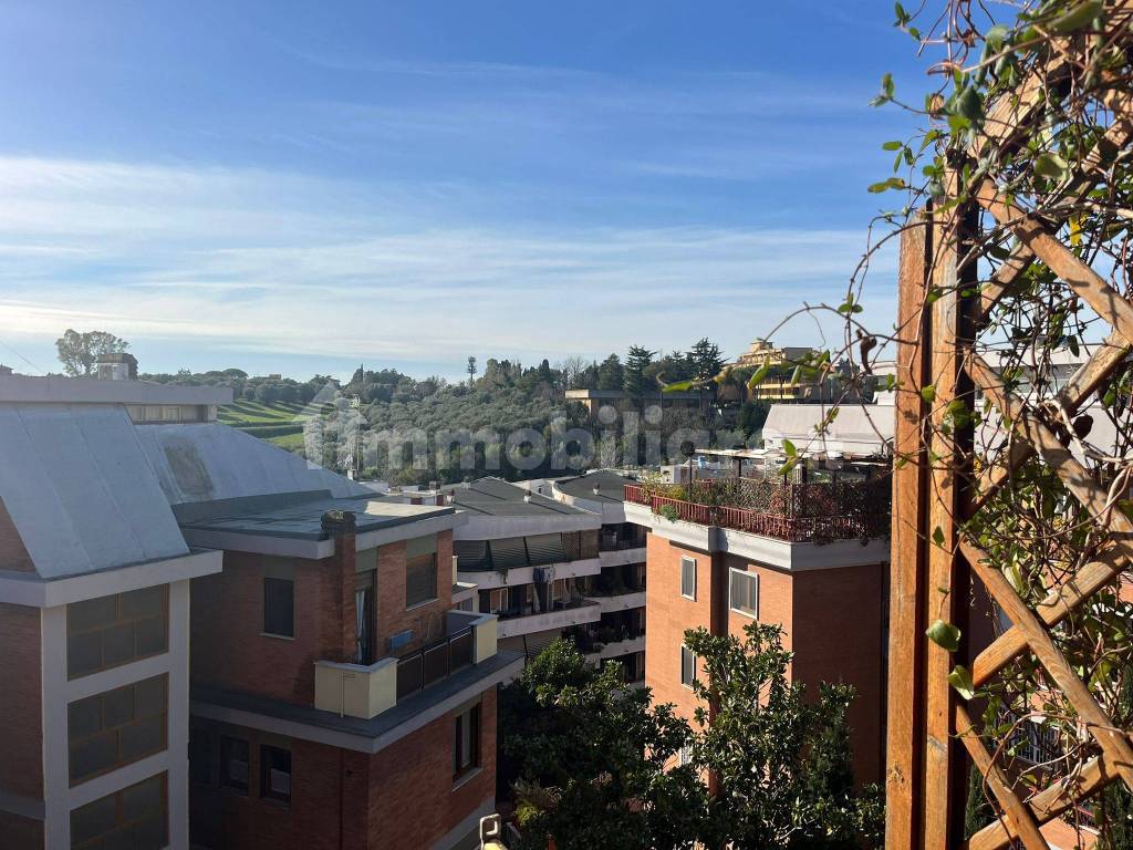 Vista