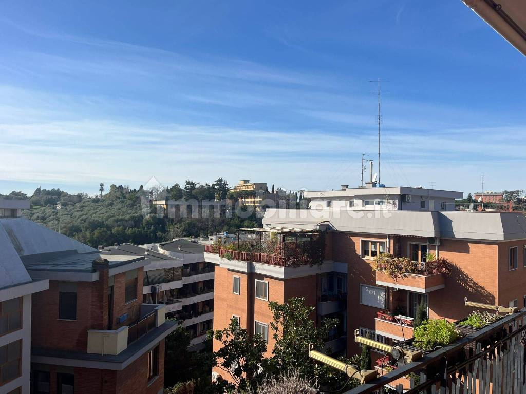 Vista