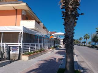 Zona