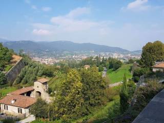 Vista