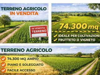 Altro