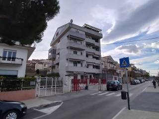 Zona