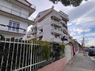 Zona