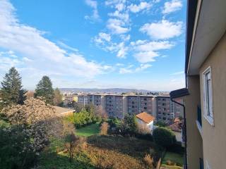 Vista