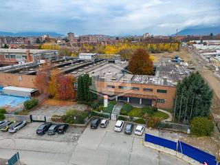 Vista