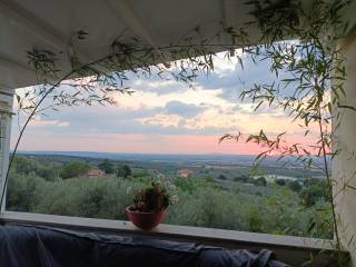 Vista