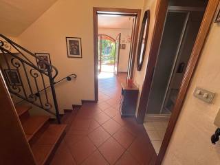 Ingresso