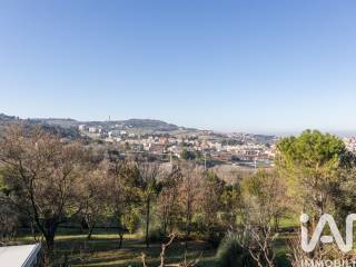 Vista