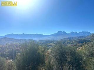 Vista