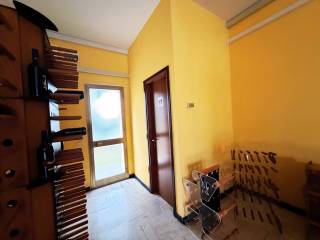 Ingresso