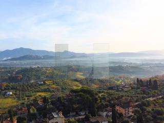 Vista