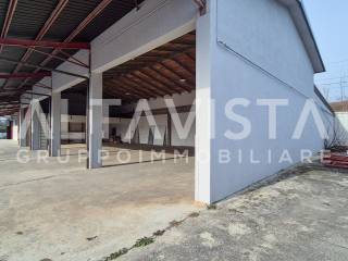 Ingresso
