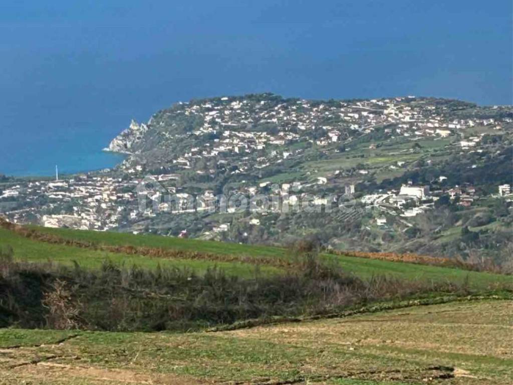 Vista