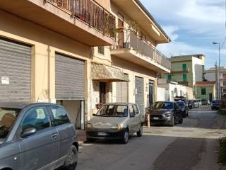 Zona