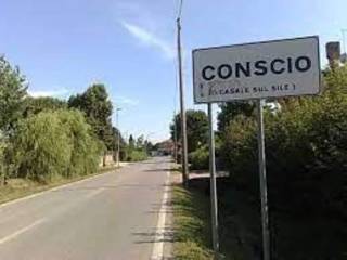 Zona
