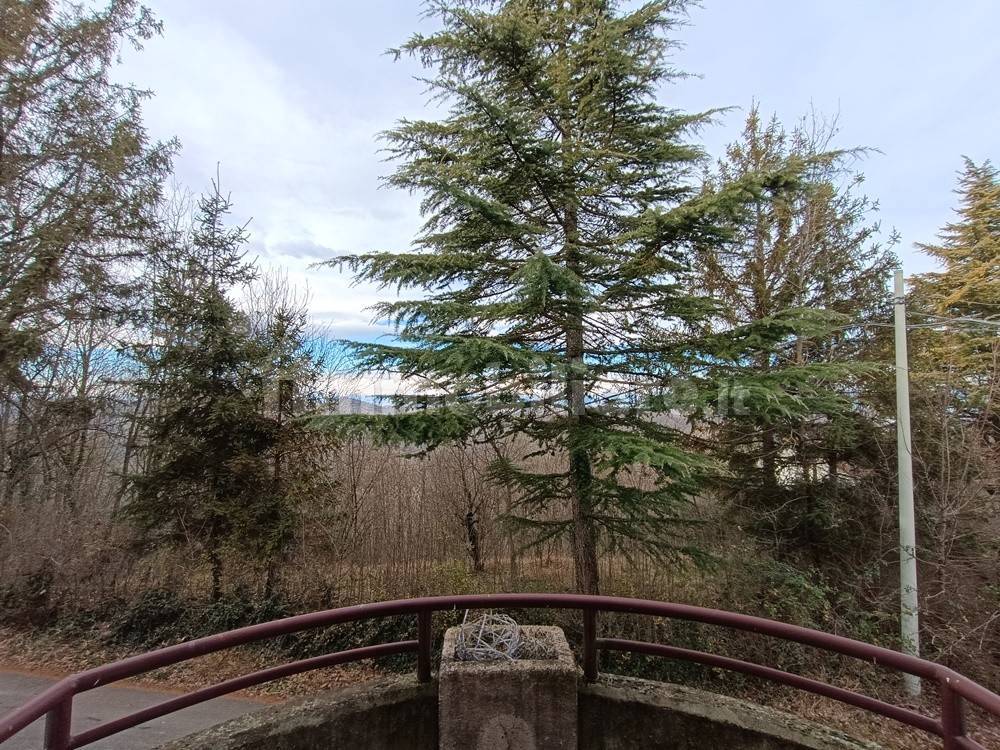 Vista