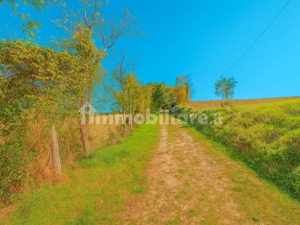 Terreno