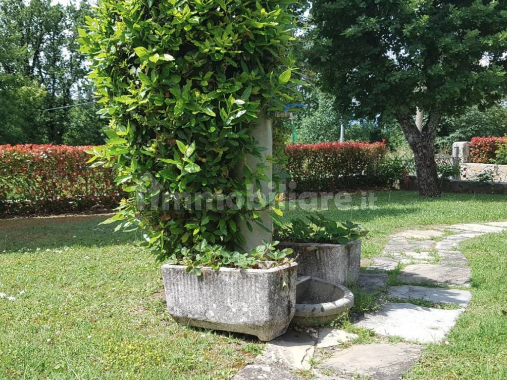 Giardino