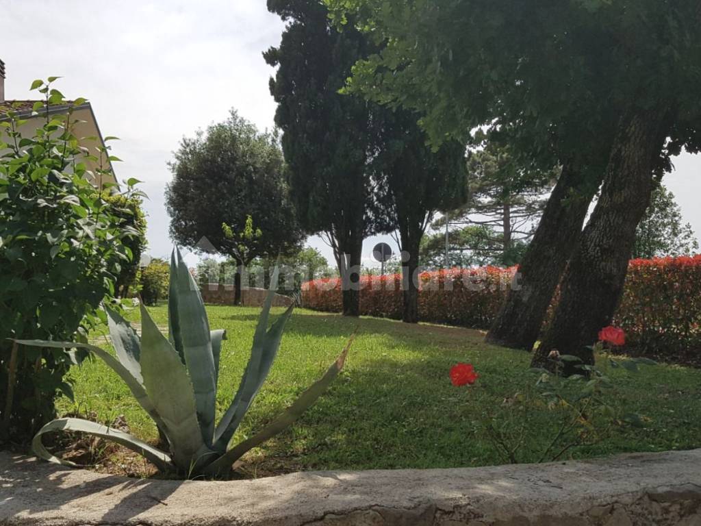 Giardino