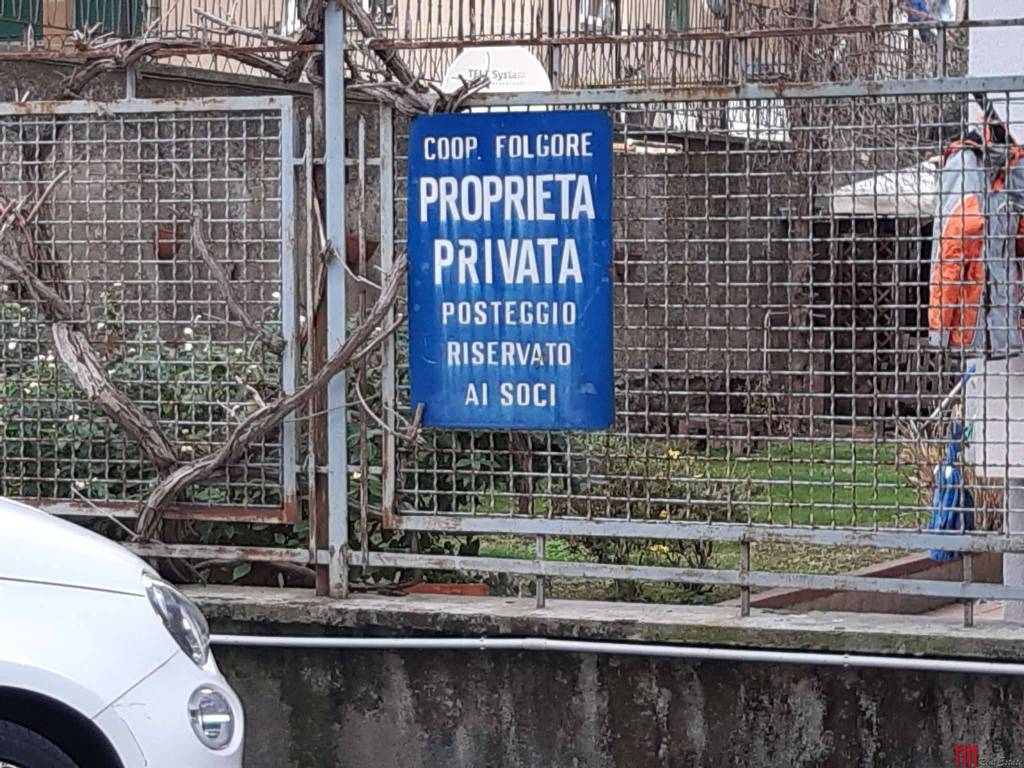 Zona
