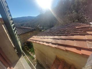 Vista