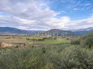Vista