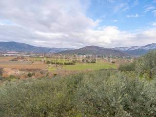 Vista