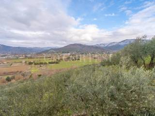 Vista