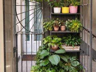 2-room flat via Antonio Giuseppe Ignazio Bertola 50, Quadrilatero Romano, Turin