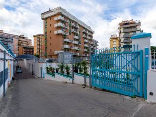 Zona