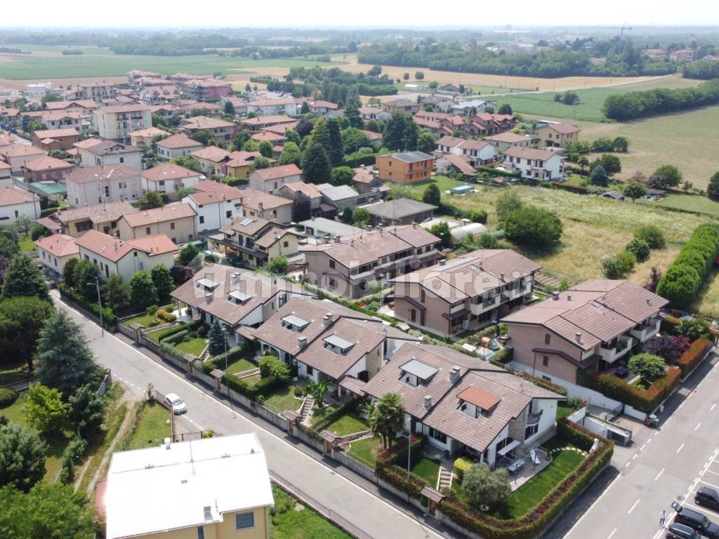 Vista