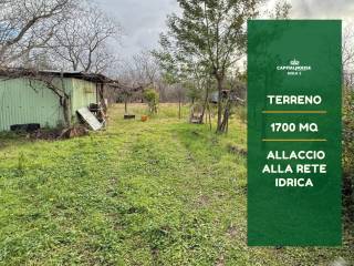 Terreno