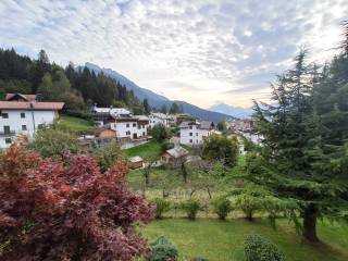 Vista