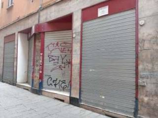 Zona