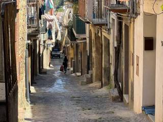 Zona