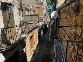 Zona
