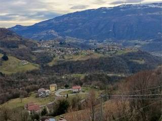 Vista