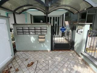 Ingresso