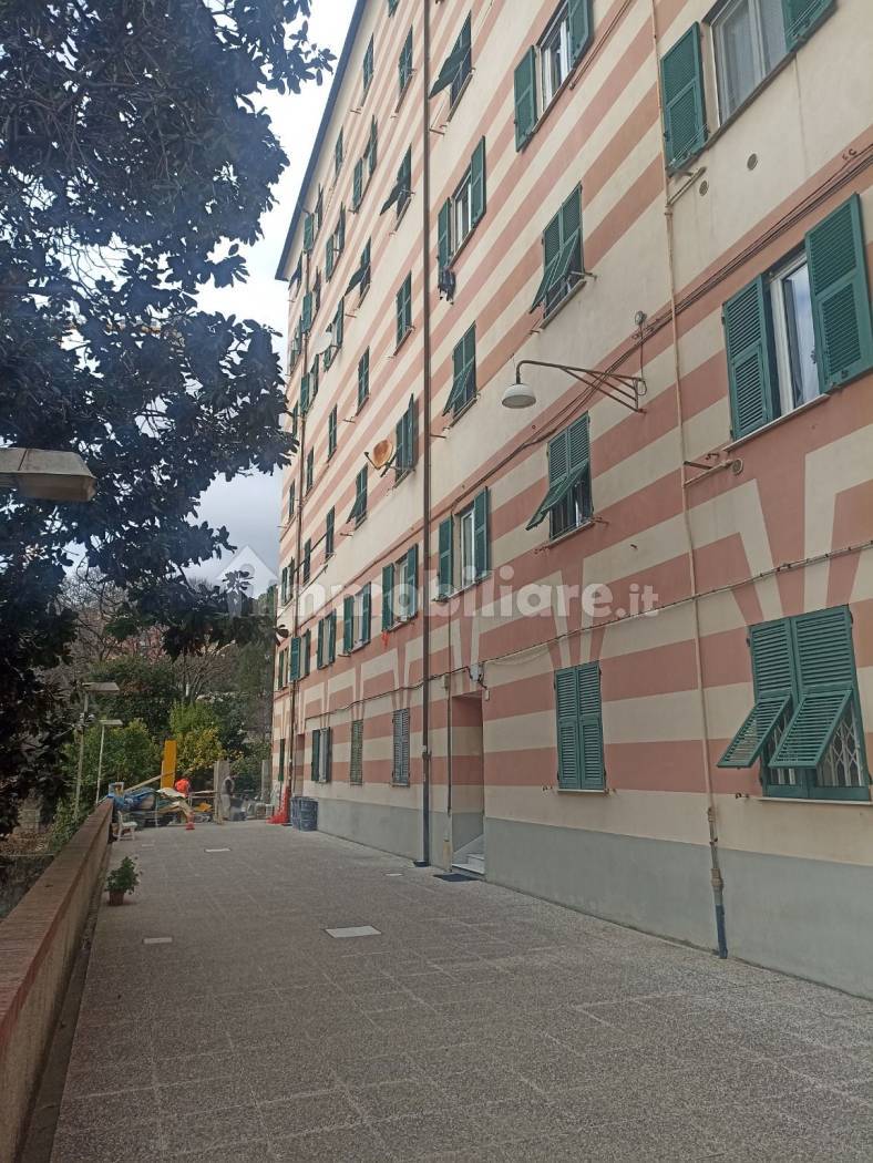 Appartamento in affitto a Genova