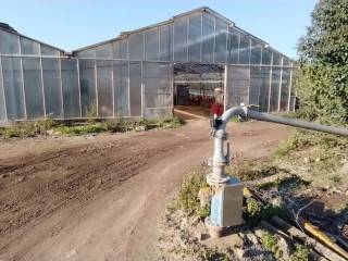 Zona