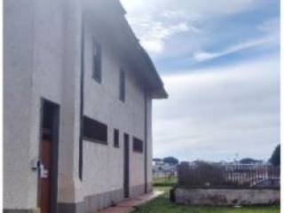 Zona