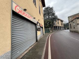 Zona